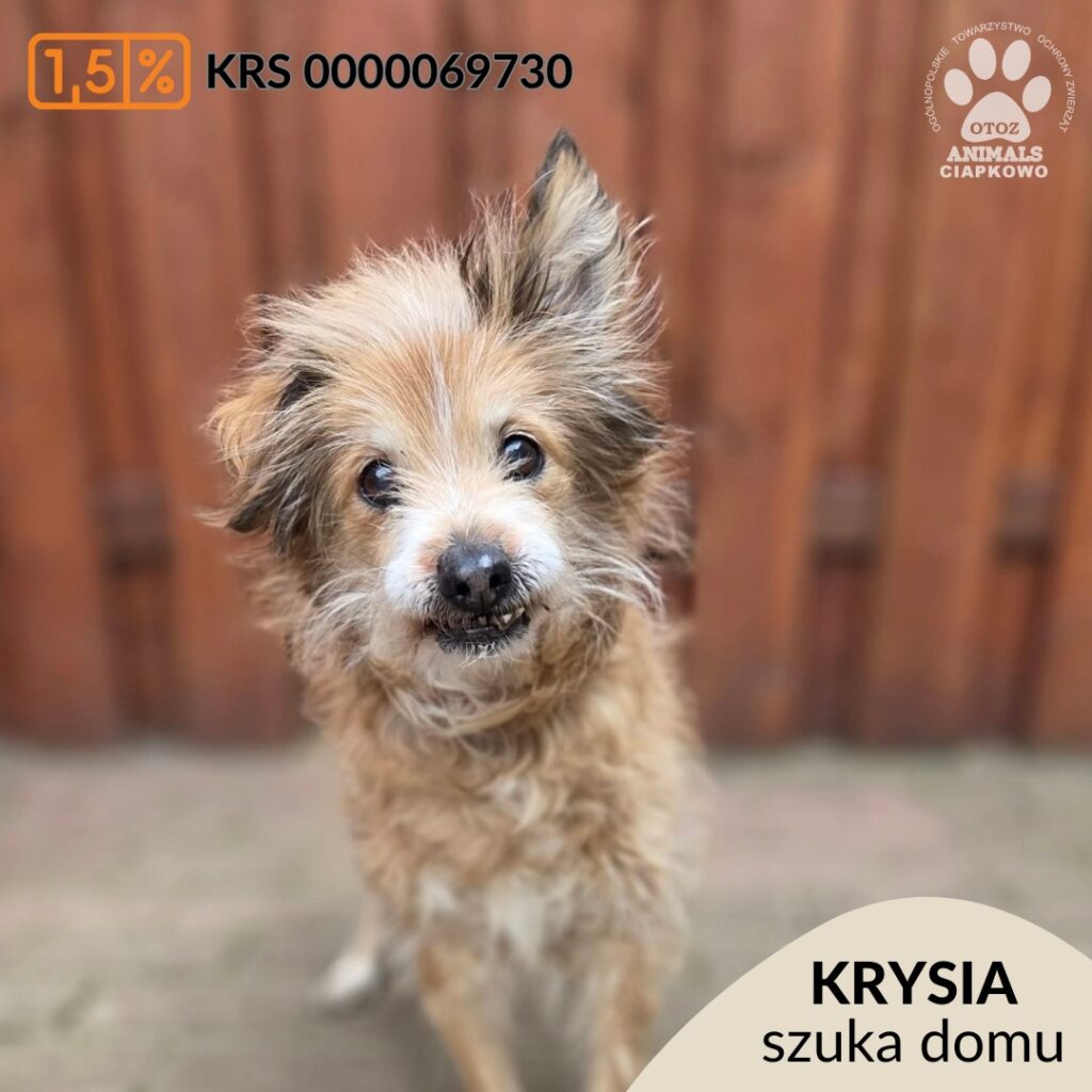 Z „Ciapkowa” do ludzi