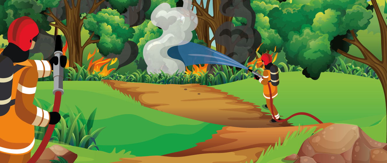 Zachowaj ostrożność w lasach